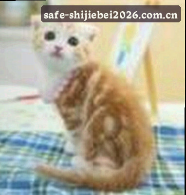 刘洋